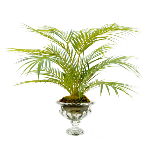 Creative Displays, Inc. Faux Palm Plant in Glass Vase & Reviews Perigold